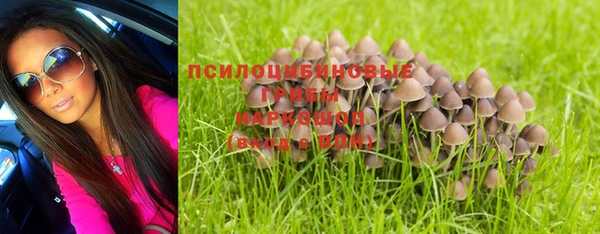 эйфоретик Алзамай