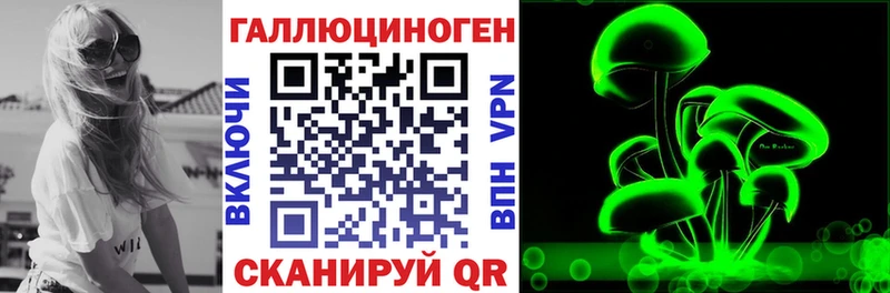 Псилоцибиновые грибы Psilocybine cubensis  Карабаш 